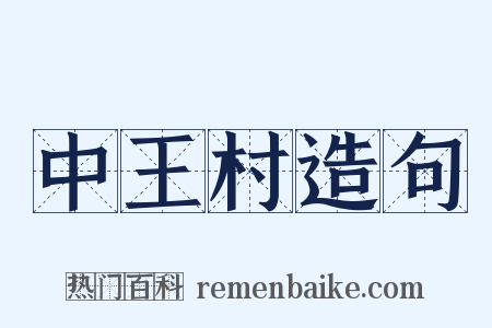 中王村造句是什么意思的图片